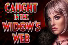 Caught in the Widow's Web Slot by High 5 Games