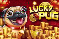 Lucky Pug Slot by High 5 Games