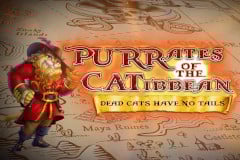 Purrates of the Catibbean Slot by High 5 Games