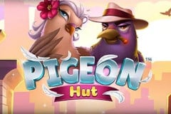 Pigeon Hut