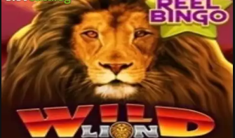 Wild Lion with Reel Bingo